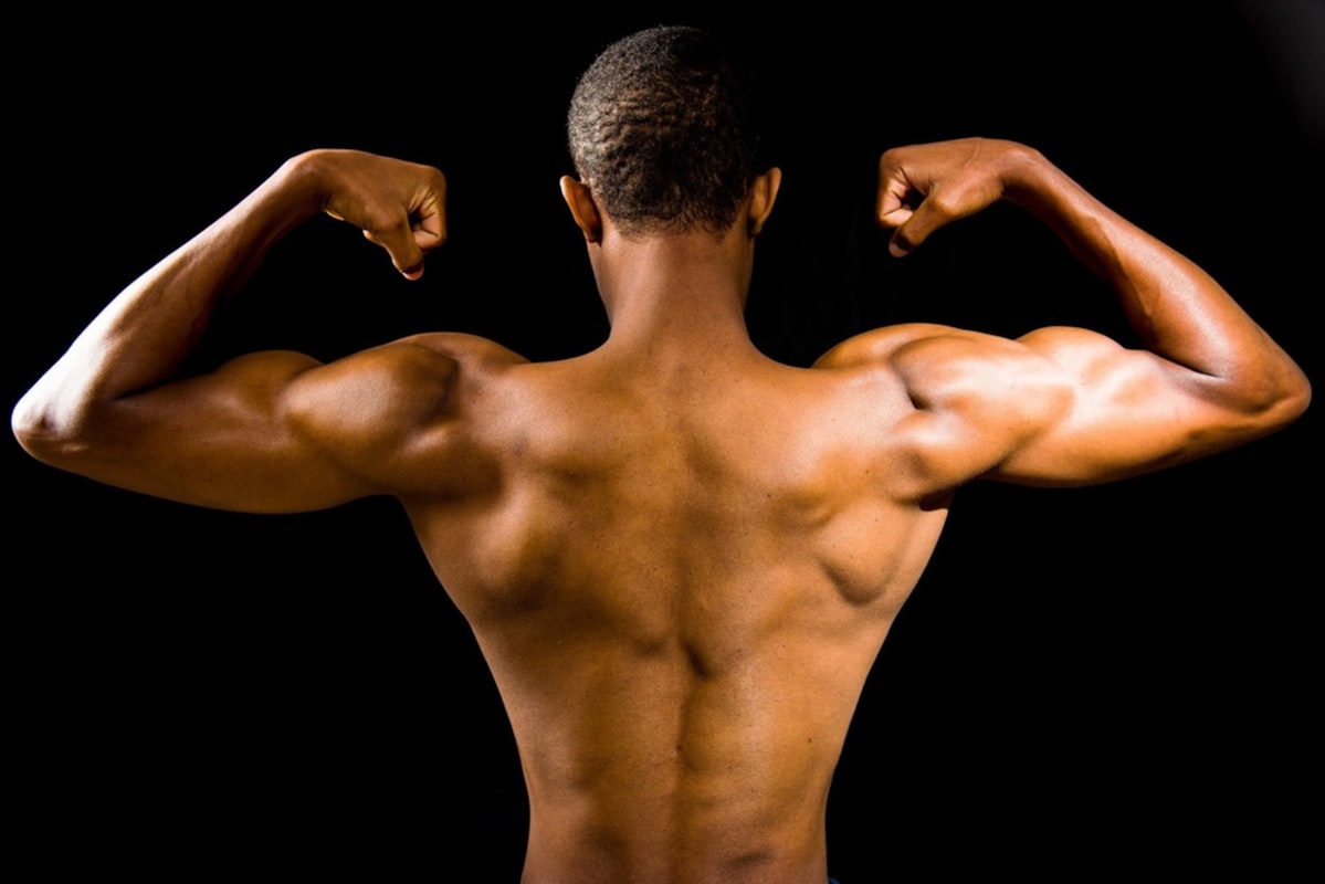 Protein nutrition and muscle building